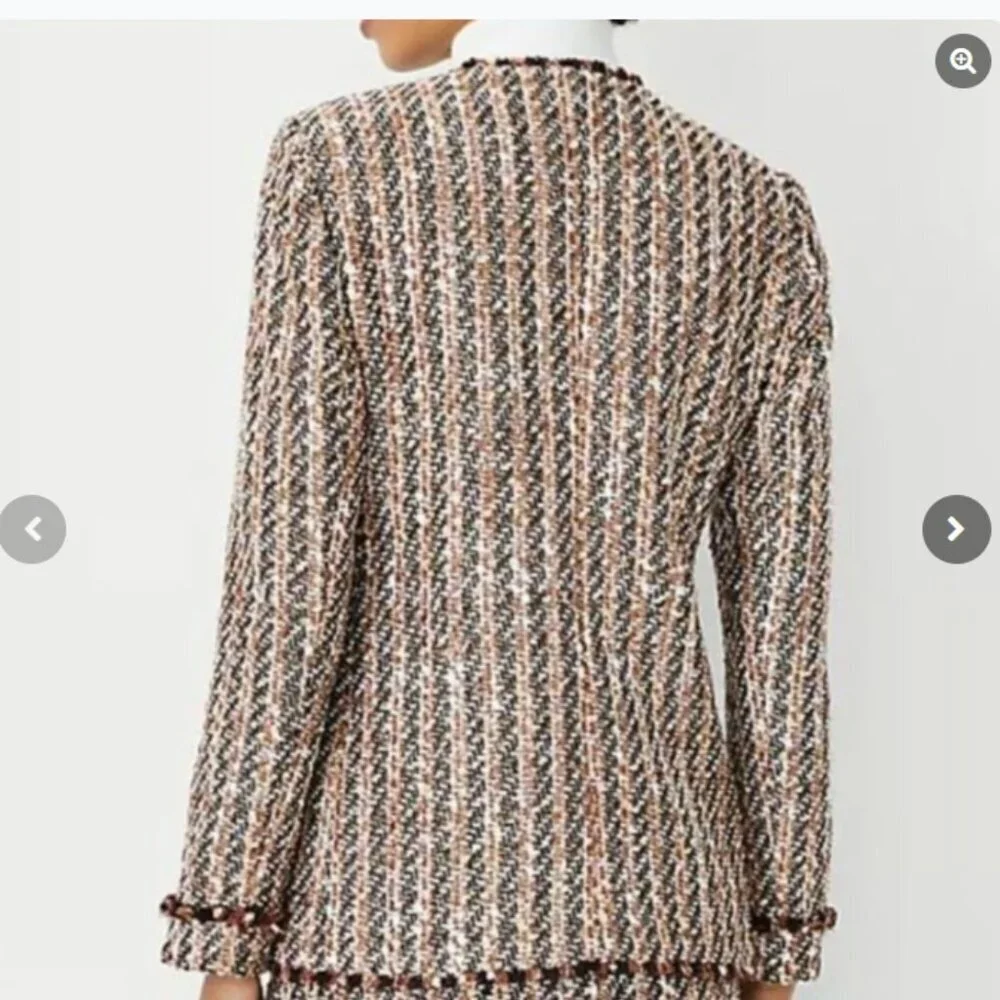 Ann Taylor Metallic Fringe Tweed Blazer Jacket Brown Size 4 NWT - Picture 2 of 12